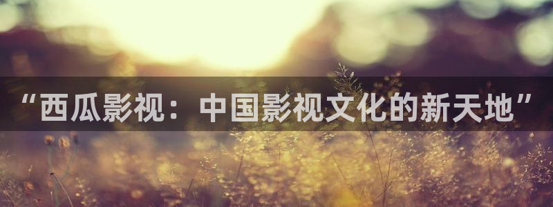 成人光棍影院：“西瓜影视：中国影视文化的新天地”